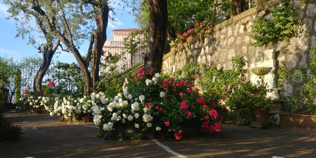 Villa L'Ulivina Sorrento Exteriér fotografie