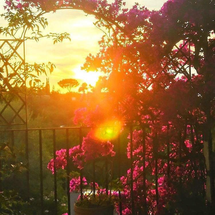 Villa L'Ulivina Sorrento Exteriér fotografie