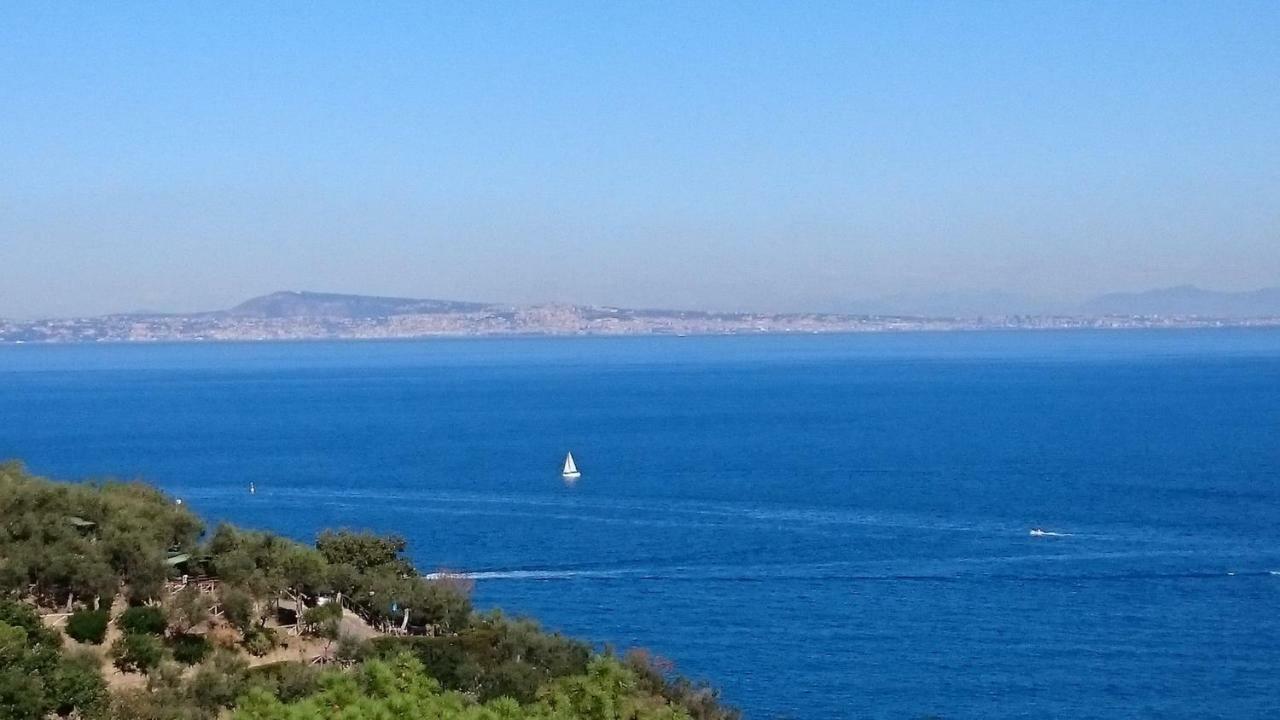 Villa L'Ulivina Sorrento Exteriér fotografie