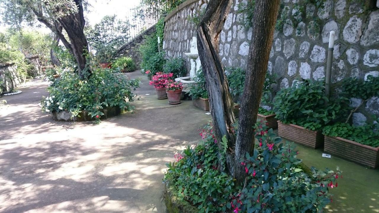 Villa L'Ulivina Sorrento Exteriér fotografie