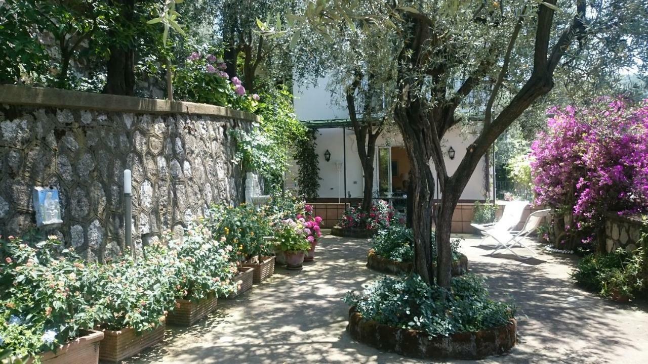 Villa L'Ulivina Sorrento Exteriér fotografie