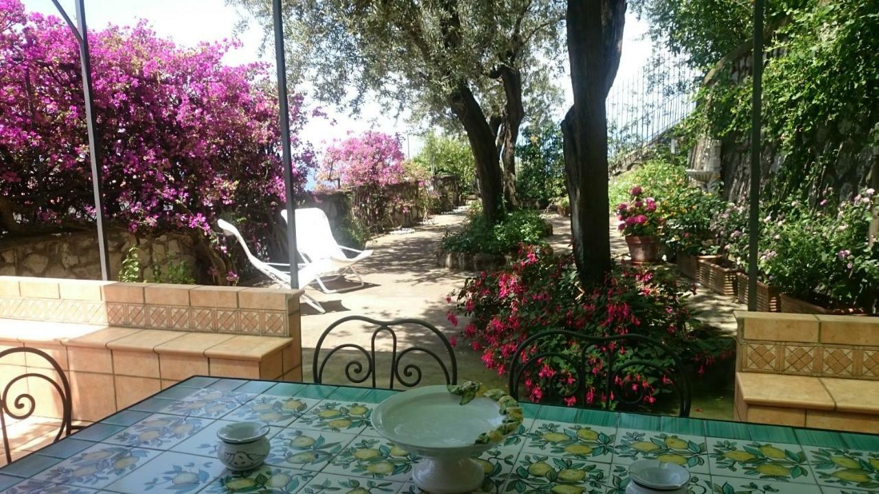 Villa L'Ulivina Sorrento Exteriér fotografie