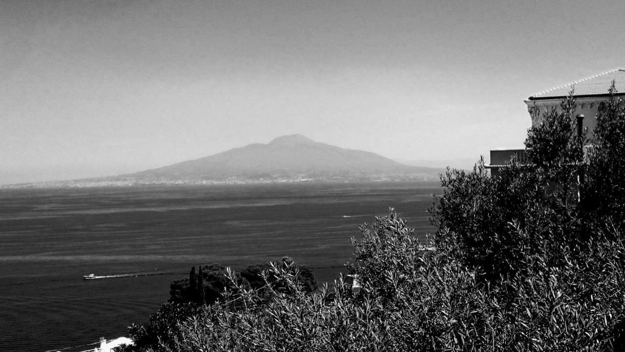 Villa L'Ulivina Sorrento Exteriér fotografie